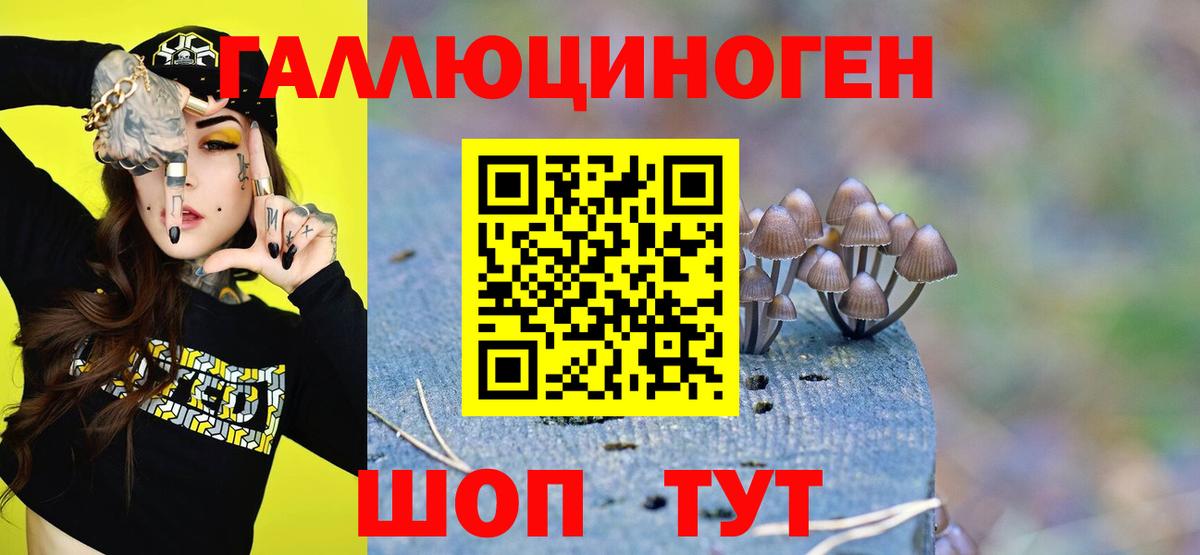 Галлюциногенные грибы прущие грибы Гусиноозёрск