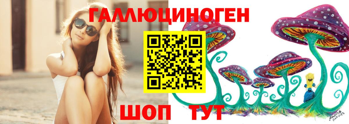 Галлюциногенные грибы Cubensis  Вход с VPN  Галлюциногенные грибы Cubensis  Гусиноозёрск 
