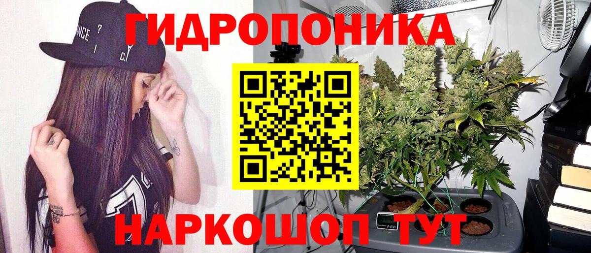 Бошки Шишки планчик  Бошки Шишки план  Шишки марихуана Bruce Banner  Вход с VPN  Каннабис AK-47  Гусиноозёрск 
